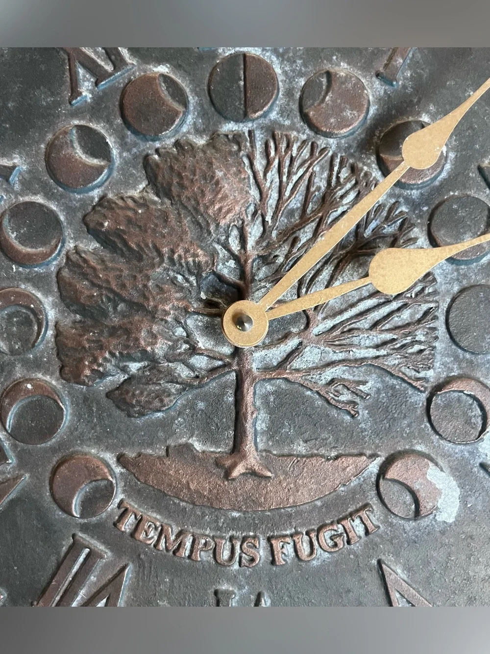 Temps Fugit Tree of Life Vintage Style Brown Metal Wall Clock Roman numbers
